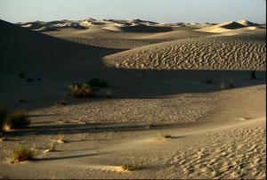 Le Sable à Perte de Vue (El Oued)