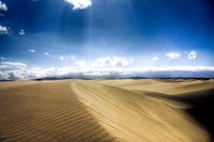 Au Désert d'El Oued