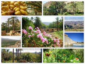 EL-Oualdja-Khenchela-Algerie