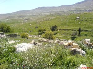 Paysage près de la ville de Tafassour à Khenchla