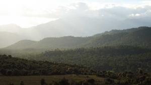 Paysage de Chelia à Khenchla