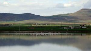 Lac de la Commune d'El-Mahmel à Khenchla