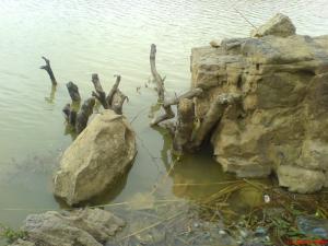 Barrage de Foum El-Gueis (Commune de Remila) à Khenchla