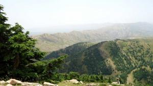 Race Kaltoum-Chelia, Wilaya de Khencha