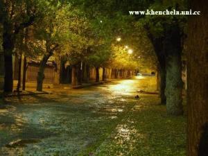 Une Allée au Centre Ville de Khenchla