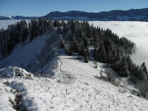 Paysage de Khenchla sous la Neige