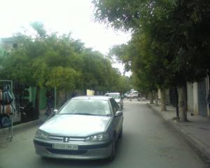 Une Allée de Khenchla