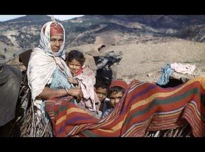 OUED-HAMLIL - ZEBOUDJA (Chlef).