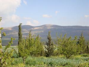 Verdure à Khenchela