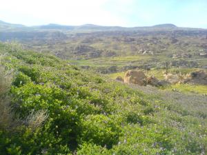 Khenchela au Printemps