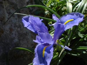 La beauté des Aures (Khenchela)