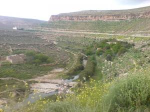 Verdure dans la commune de Chechar au Printemps (Khenchela)