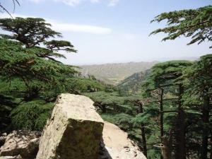Paysage de Chelia au Printemps (Wilaya de Khenchela)