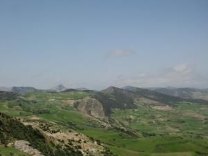 Verdure de  Souk Ahras