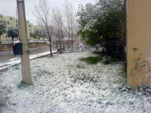 Souk Ahras sous la Neige