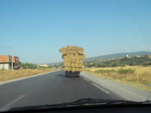 Sur la route entre Annaba et Souk-Ahras
