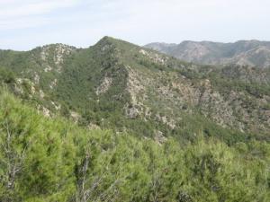 Les Monts verdoyants de Souk Ahras