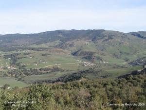 La Forêt de Souk Ahras