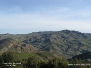 Les Montagnes de Souk Ahras