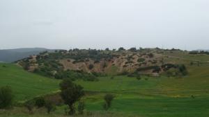 La Verdure de Souk Ahras