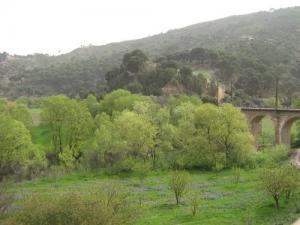 Verdure de Souk Ahras au Printemps