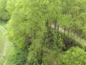La Verdure de Souk Ahras