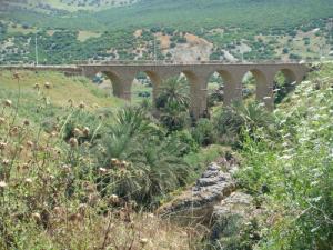 Un Pont à Souk Ahras