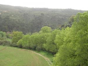 Verdure de Souk Ahras au Printemps