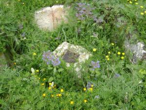 madurus (Vestiges Romains dans la commune de Mdaourouch à Souk Ahras)