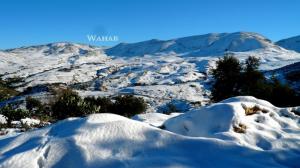 La neige sur la commune de Ouled-Idriss (Souk Ahras)