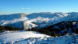 La neige sur la commune de Ouled-Idriss (Souk Ahras)