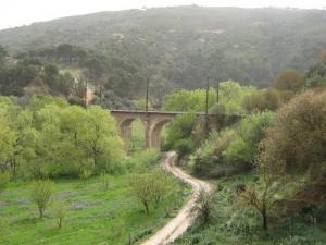 Un Pont de Souk Ahras