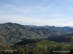 Les Montagnes de Souk Ahras