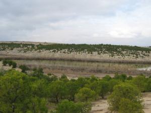 Paysage de Souk Ahras au Printemps