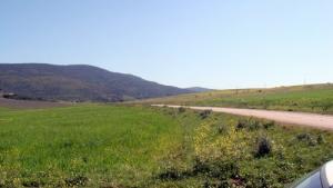 La Verdure de Souk Ahras