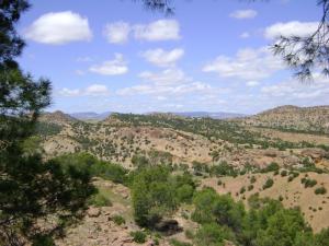 Périphérie de Souk Ahras