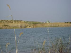 Le Grand Barrage de Souk Ahras