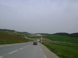 Sur la route de la commune de Taoura (Wilaya de Souk Ahras)