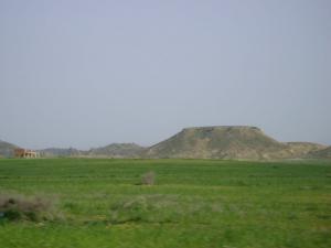 Champs agricoles de Souk Ahras