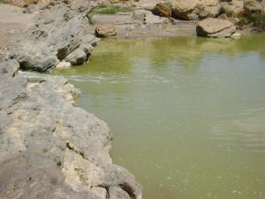 Un cours d'eau dans les montagnes de Souk Ahras