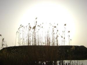 Souk Ahras à l'approche de l'été