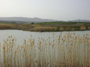 Le Grand Barrage de Souk Ahras