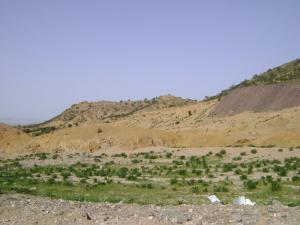 Souk Ahras à l'approche de l'été