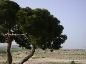 Paysage rocheux aux alentours de Souk Ahras