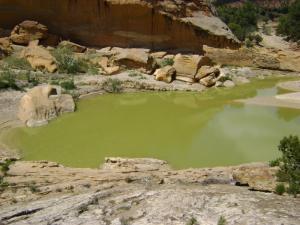 Gorge d'eau à Souk Ahras