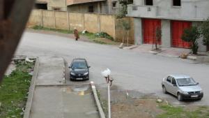 Une cité de Souk Ahras