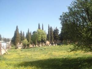 Cimetière Chrétien de Souk Ahras