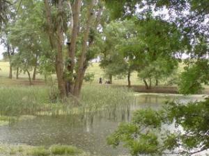 Région de Bourgas à Souk Ahras