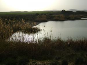 Le Grand Barrage de Souk Ahras