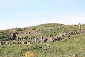 Platia vetus Site arghéologique de KHEMISSA SOUK-AHRASS